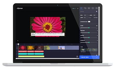 Web-based editor for videos