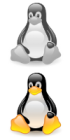 Linux developers Hire dedicated Linux developer